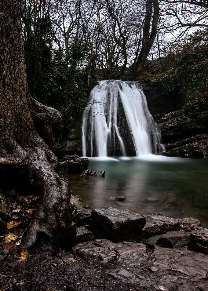 Janets Foss