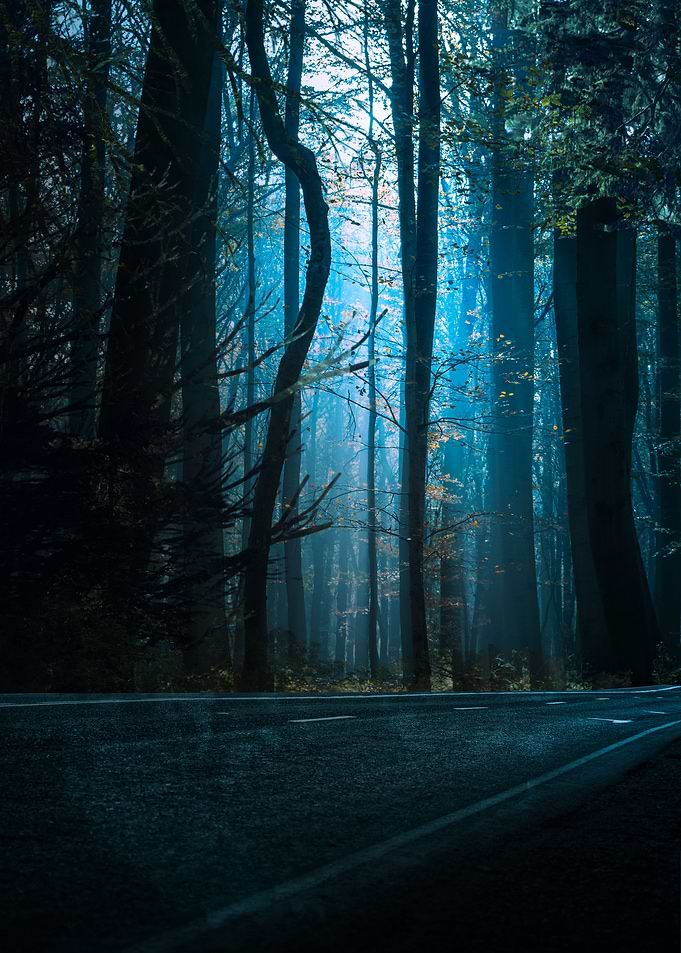 Forest Road
