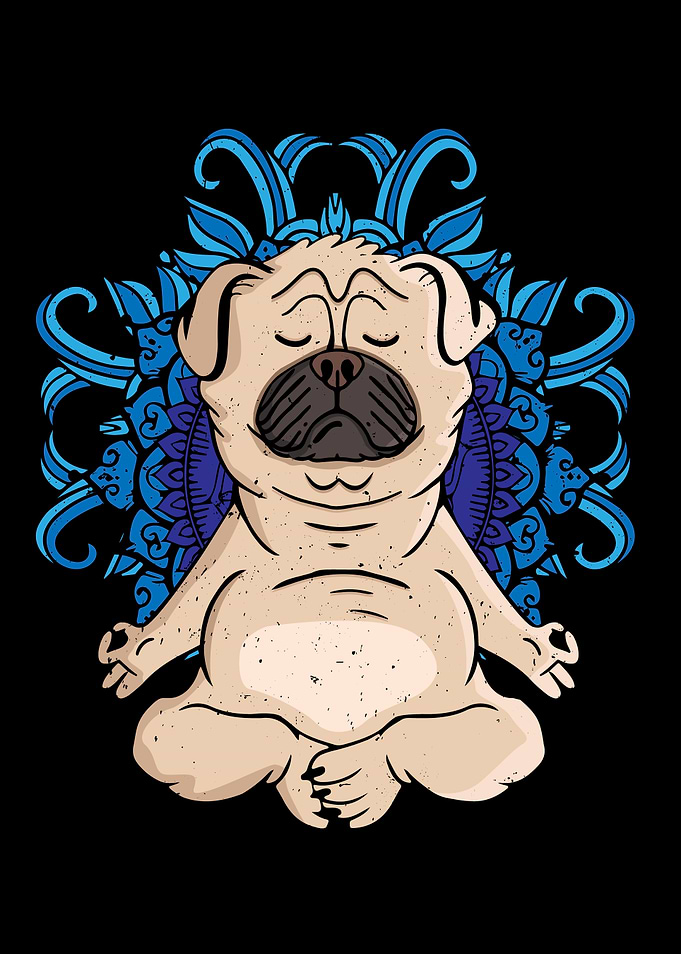 Meditating Pug Dog Yoga