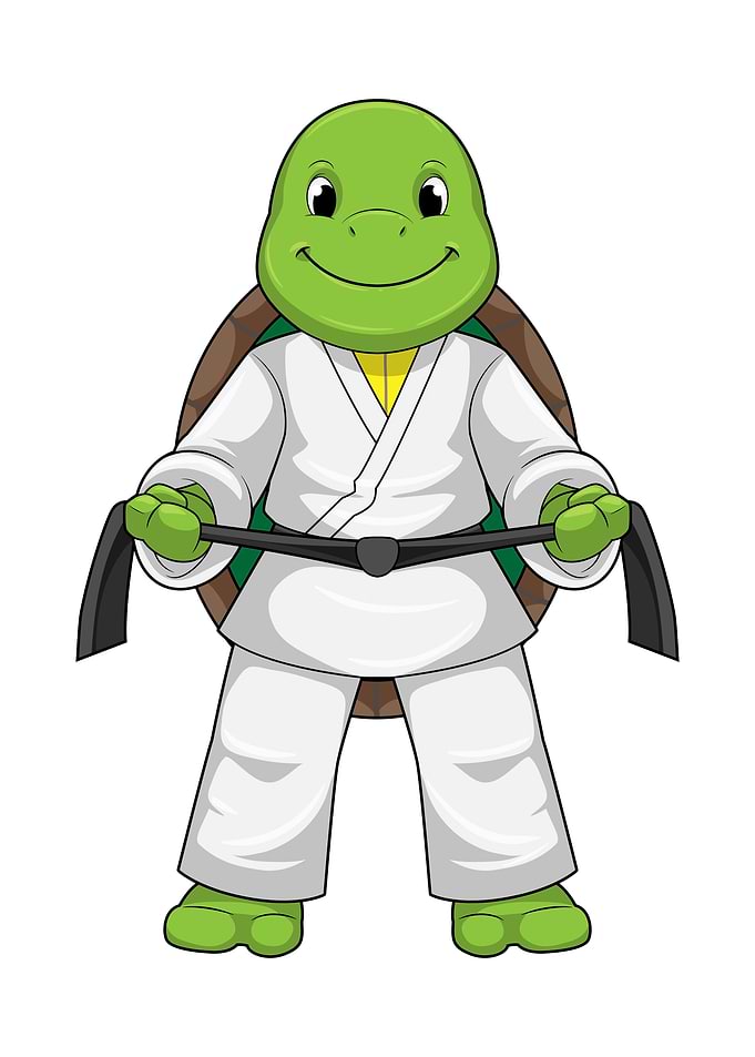 Turtle Martial arts Karate