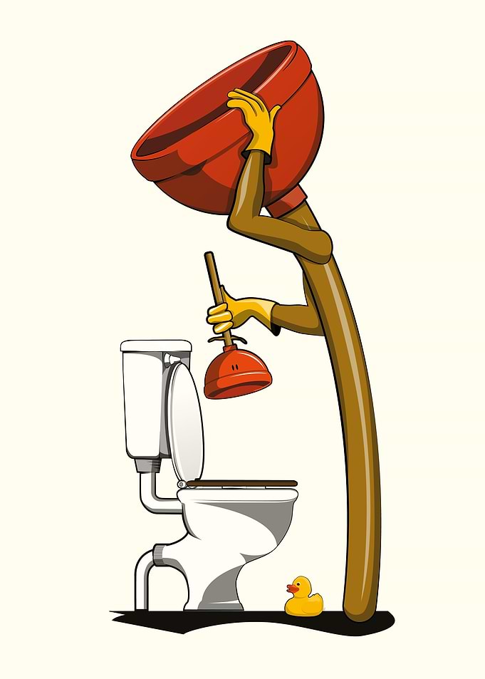 Plunger Unblocking Toilet