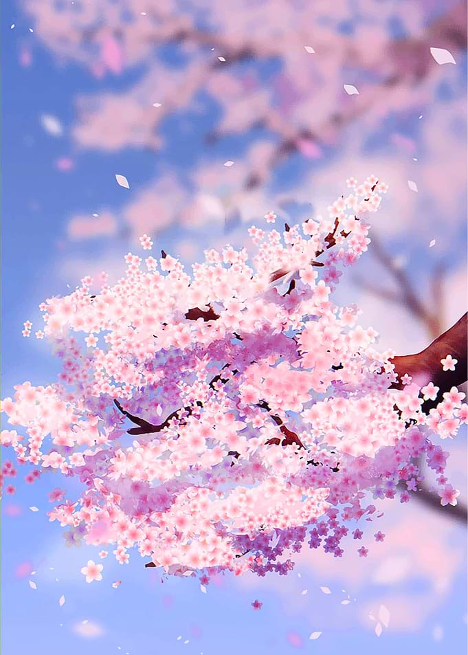 Japanese Sakura