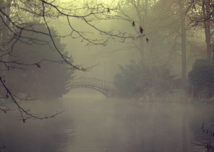 Mysterious morning in park
