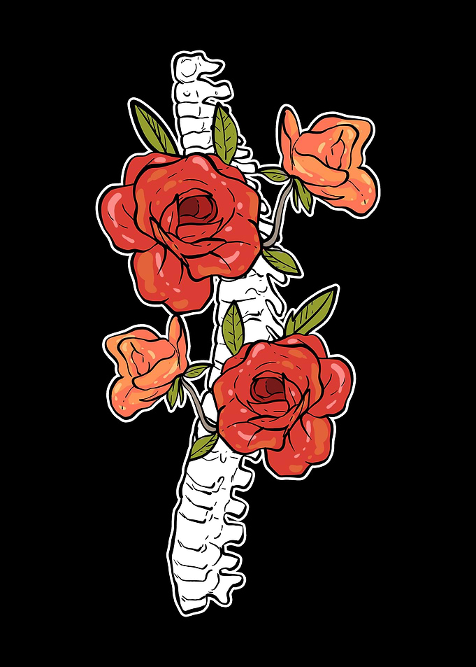Chiropractor Flowery Bone