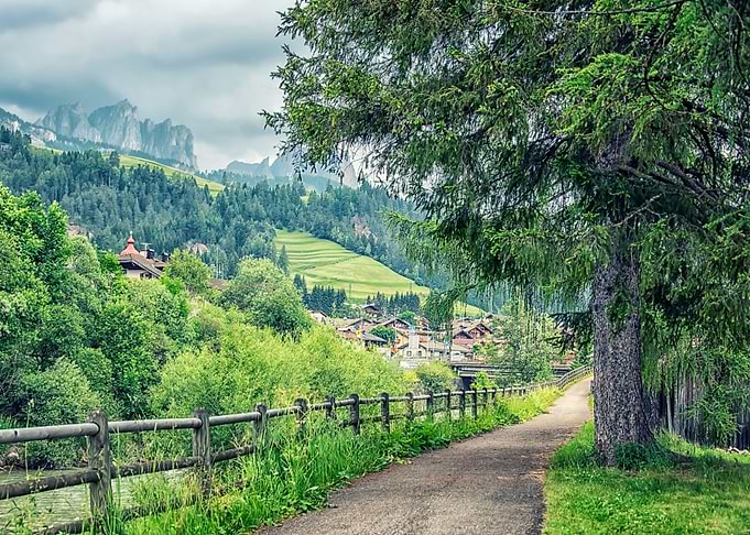 Alpine Landscape