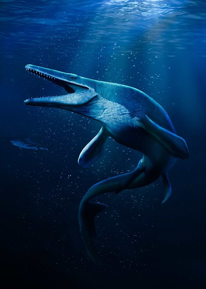 Mosasaurus Dinosaur
