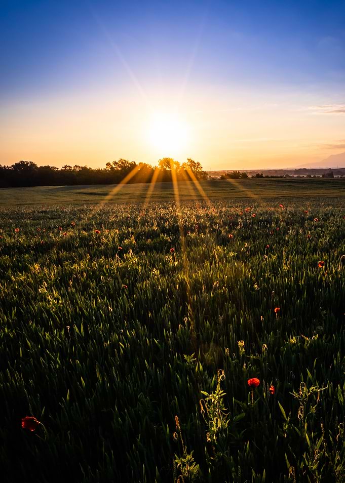 Sunrise