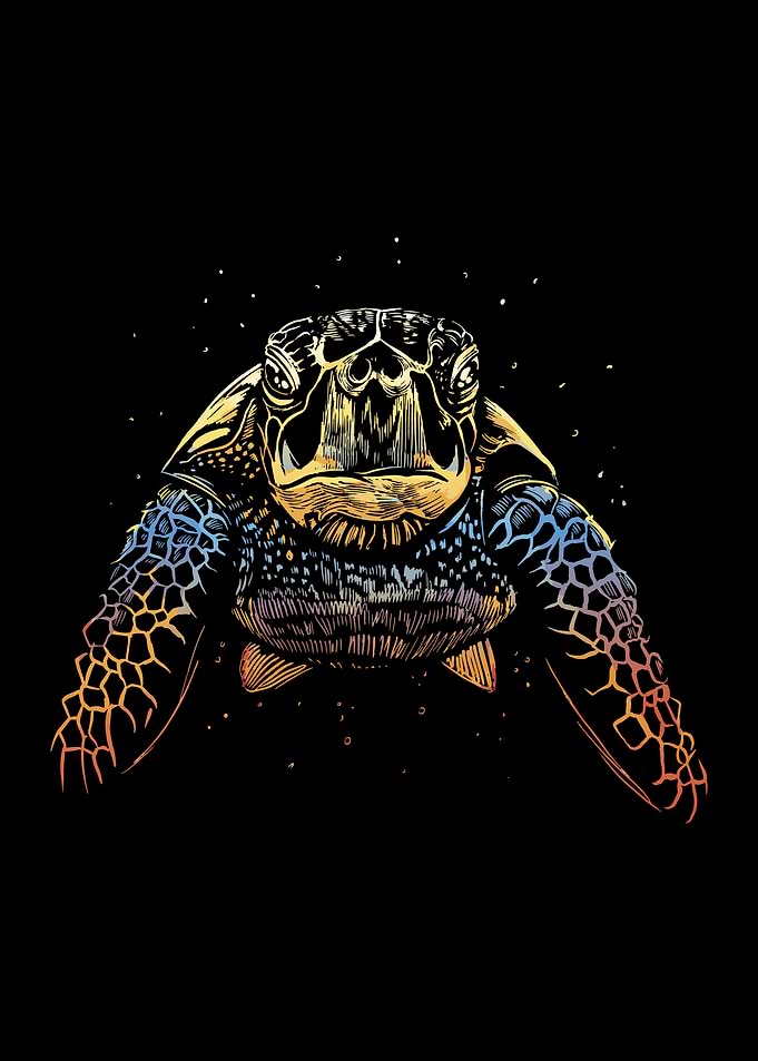 Colorful turtle animal