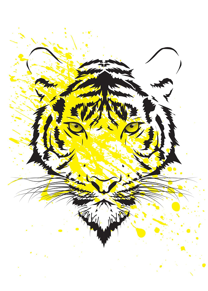 The Sumatran Tiger Lineart