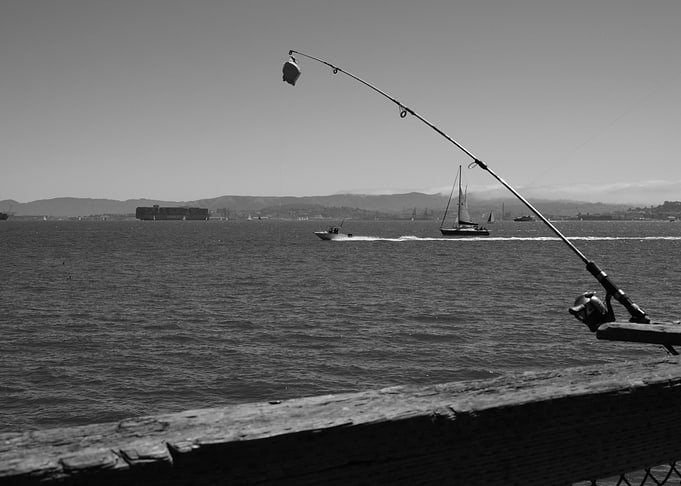 Fishing with a View