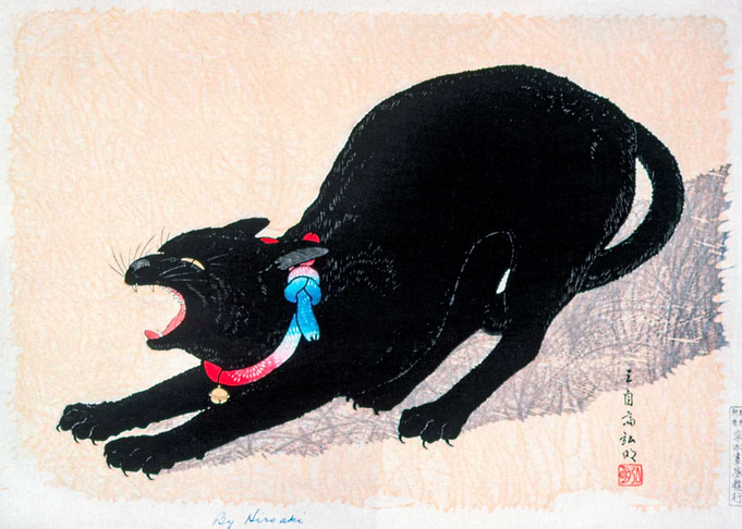 Black Cat