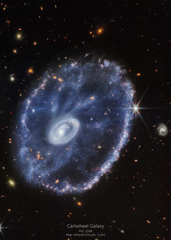 Cartwheel Galaxy JWST