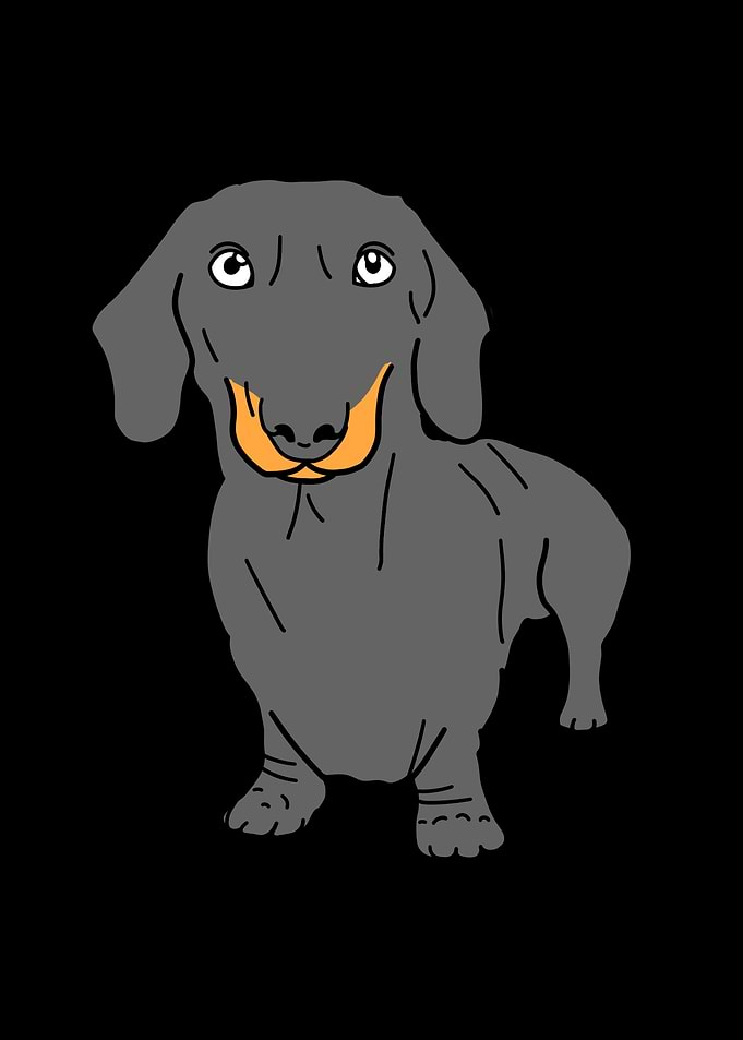 cute dogs