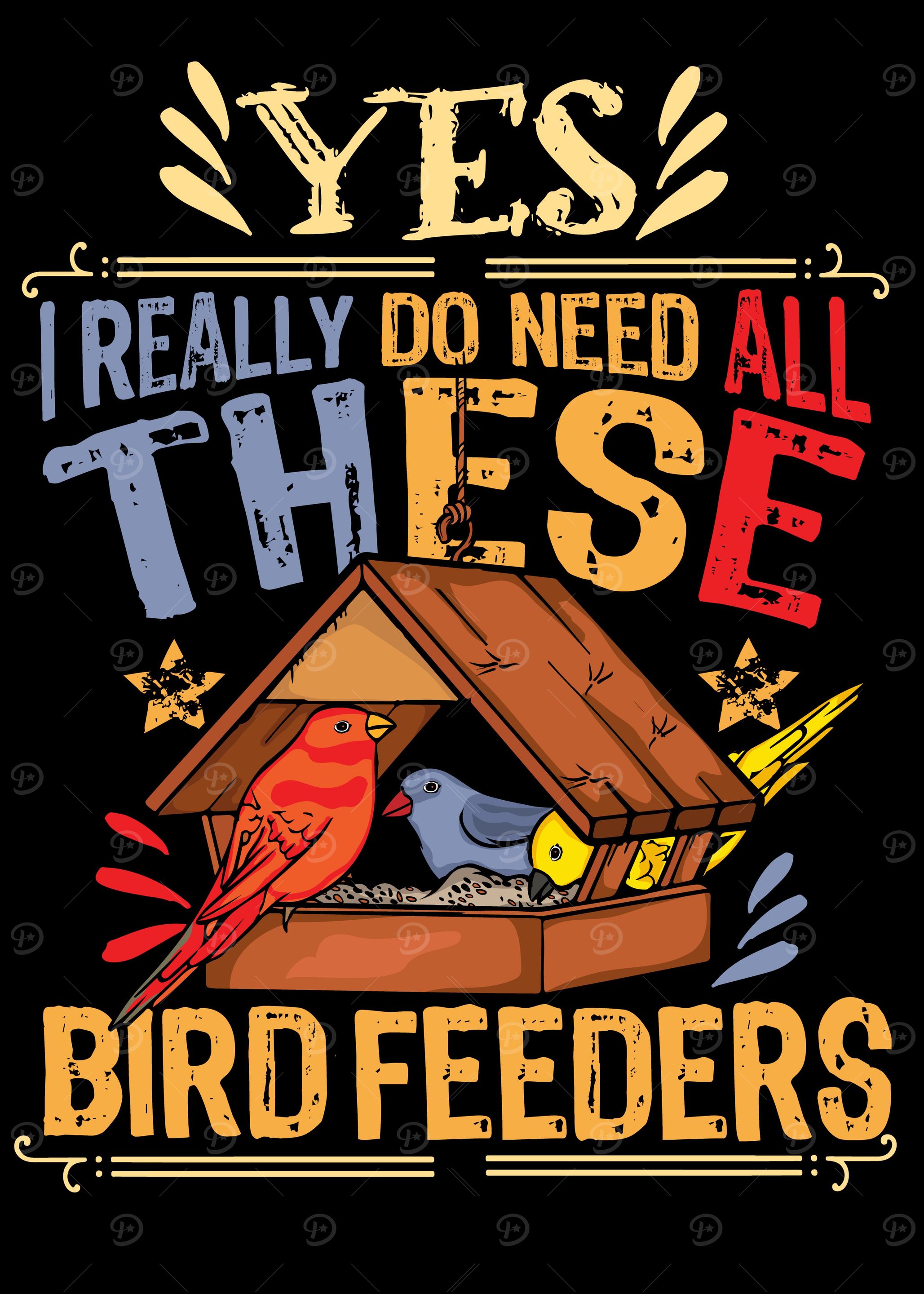 Bird Feeder Bird Watching