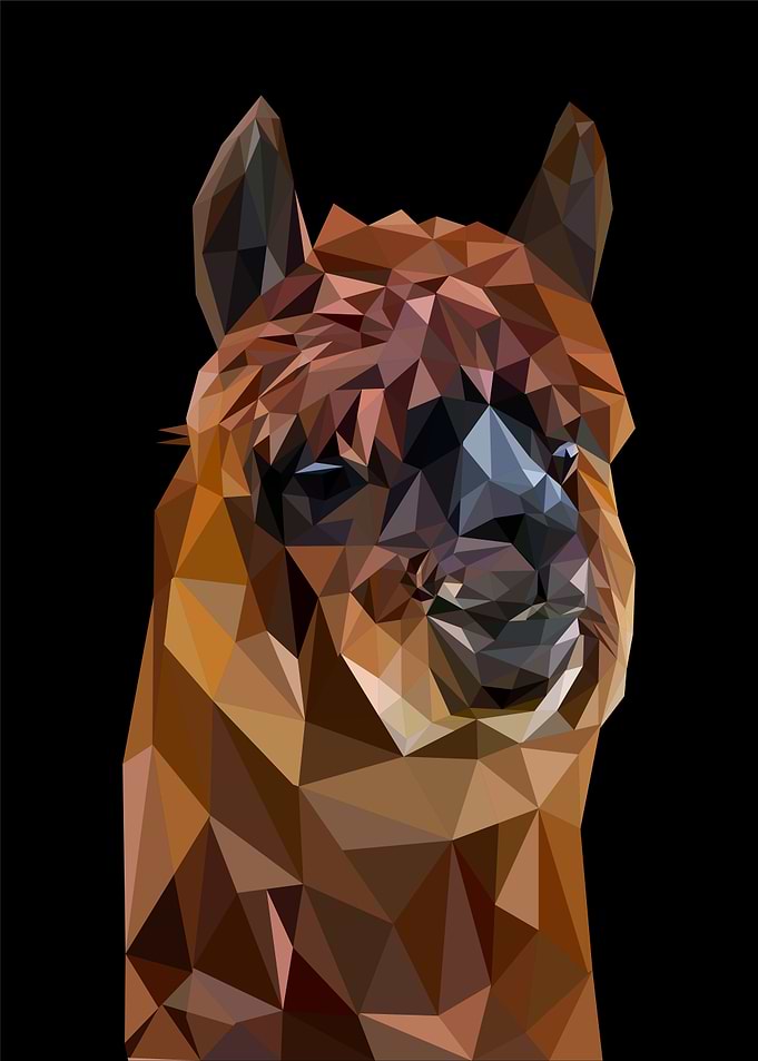 nursery animal alpaca