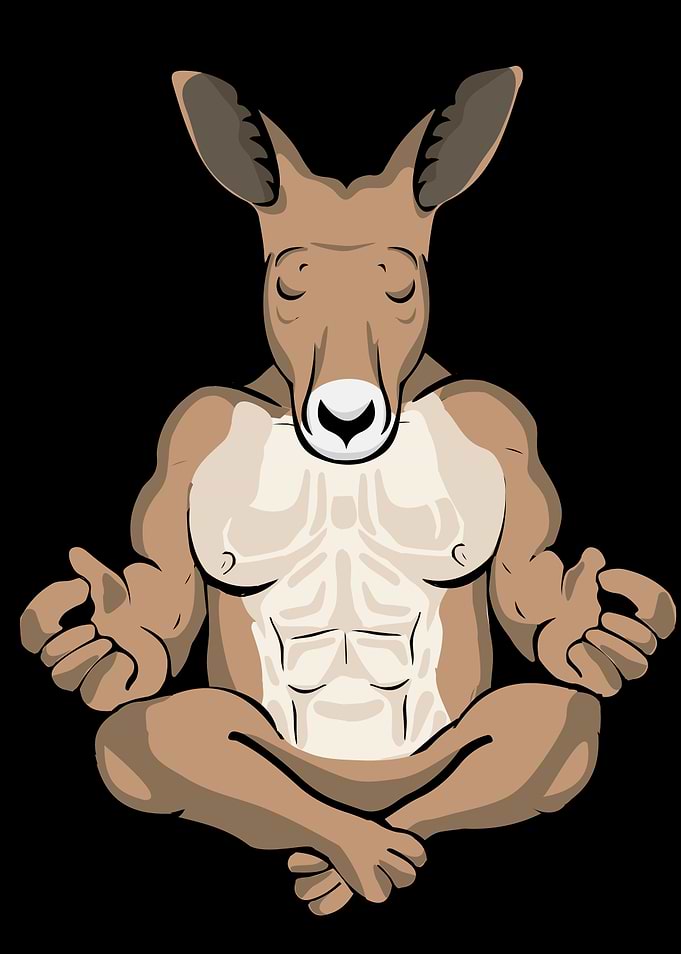 Meditation Kangaroo Yoga