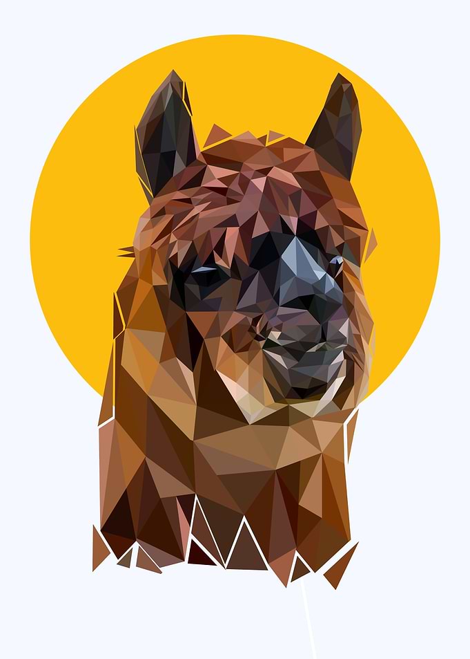 cute alpaca