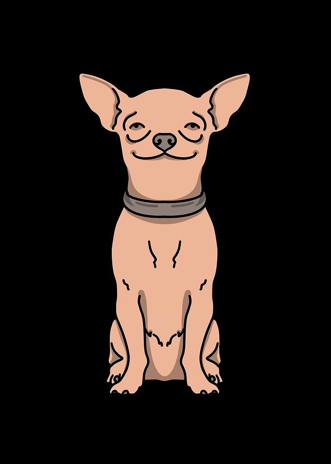 cute dogs