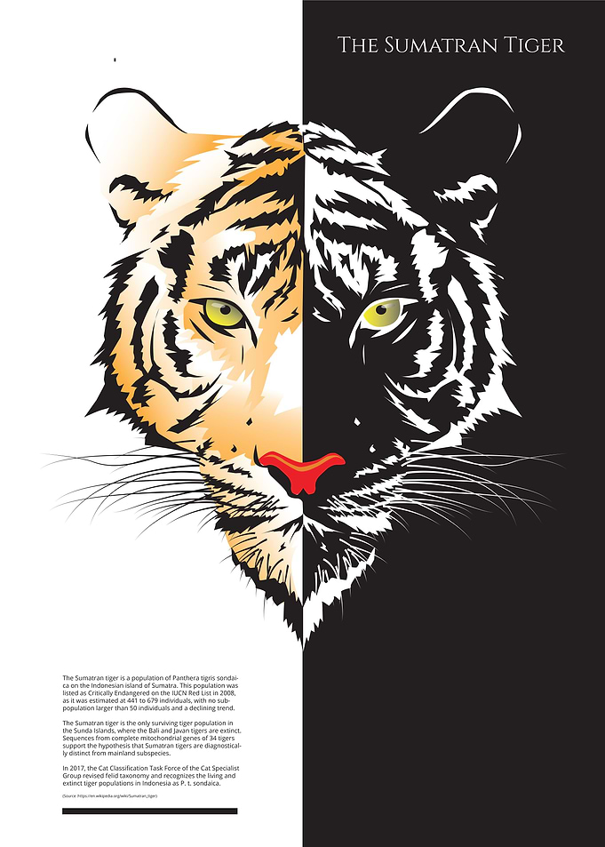 The Sumatran Tiger Lineart
