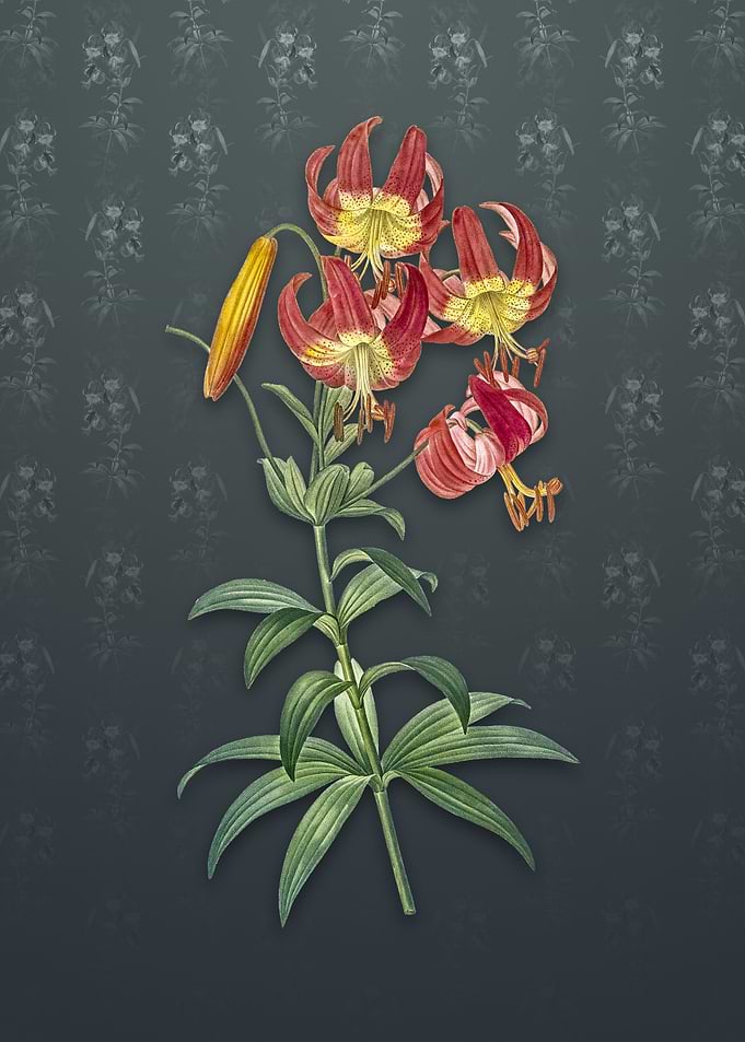 Vintage Turban Lily
