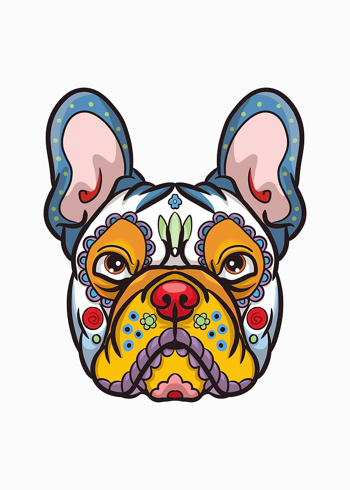 frechbulldog ilustration