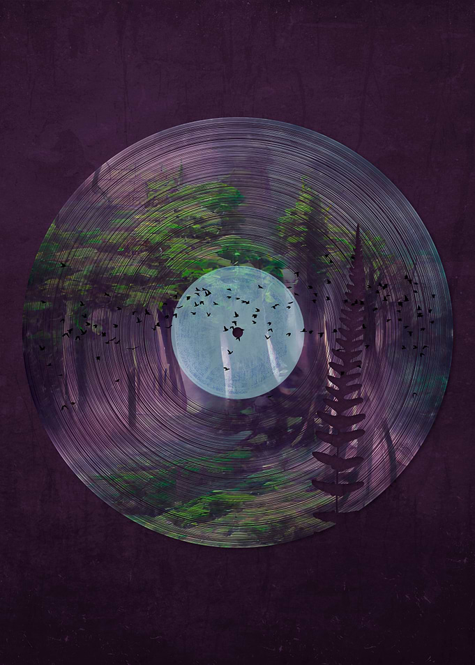 Forest Silence Vinyl