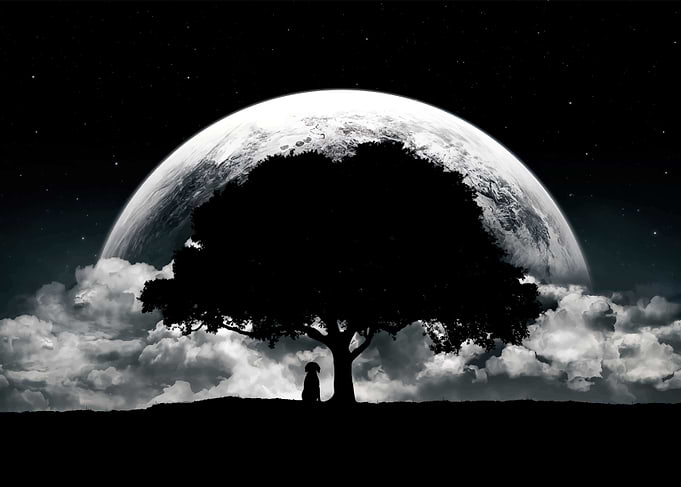 Moon