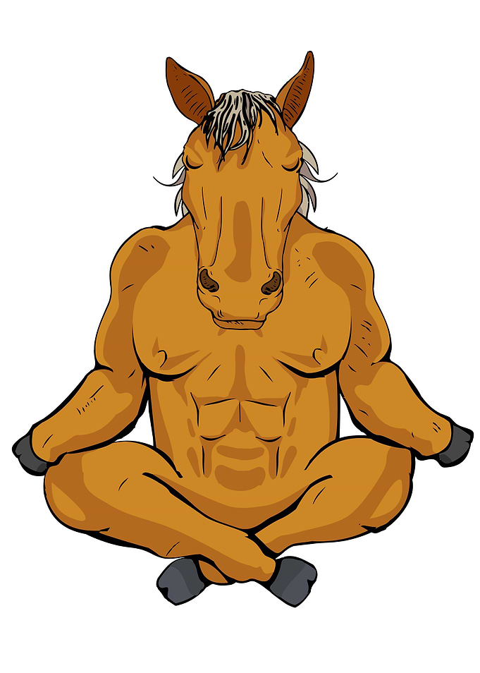 Horse Lover Gift Girl Yoga