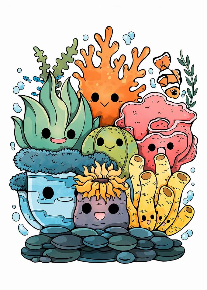 Corals