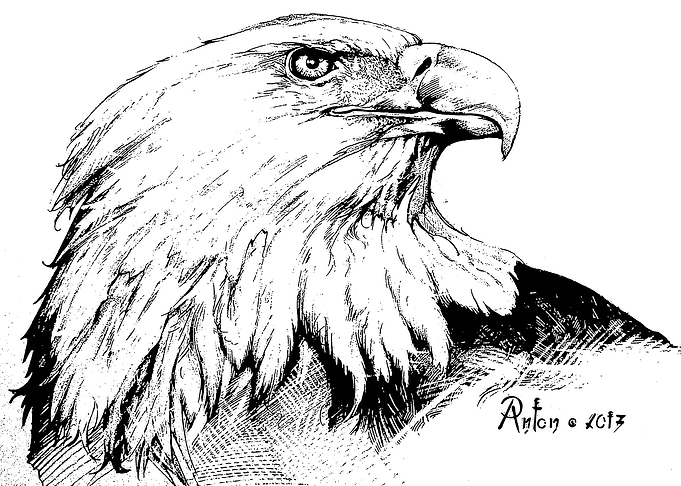 Eagle