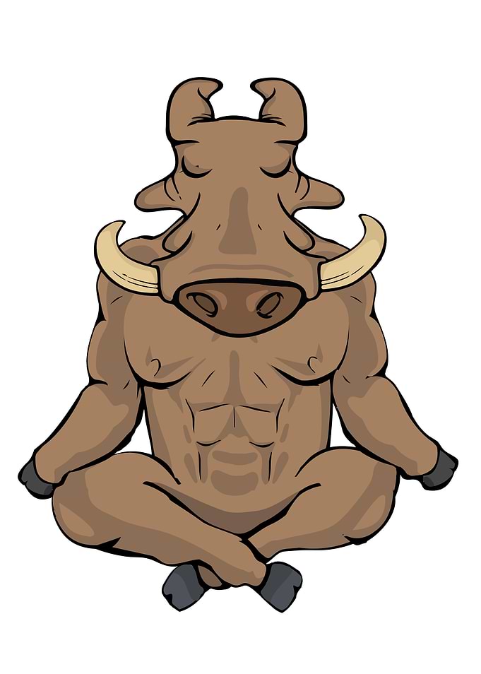 Warthog Gift Meditate Yoga