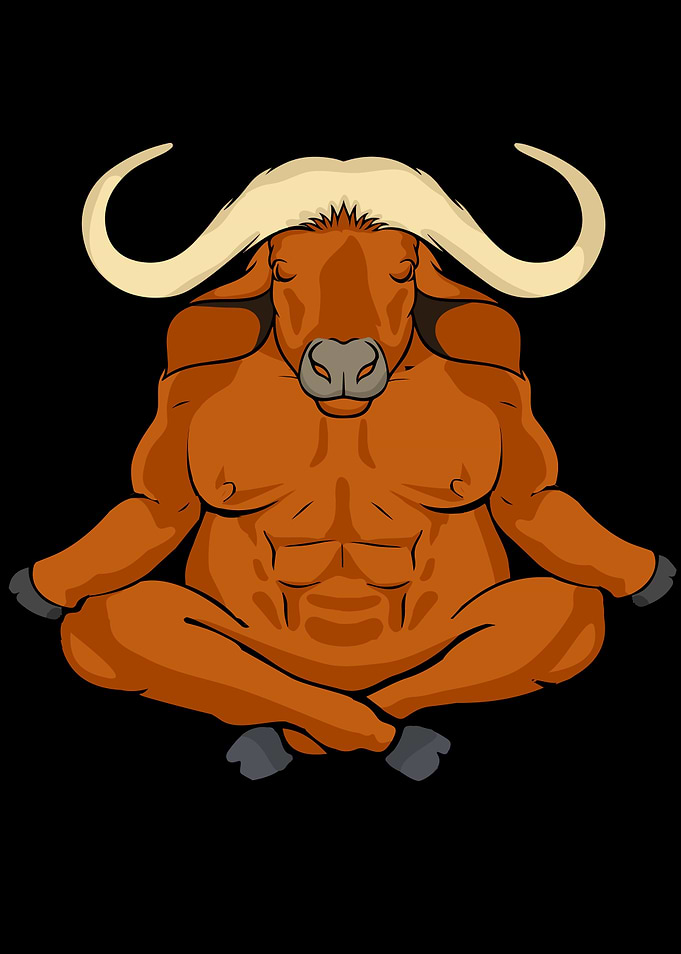 Musk Ox Meditation Yoga