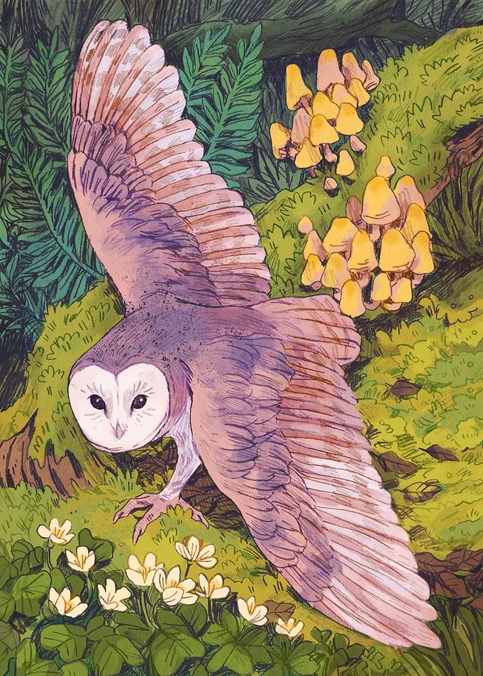 Owl on the forest floor