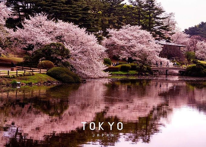 Tokyo