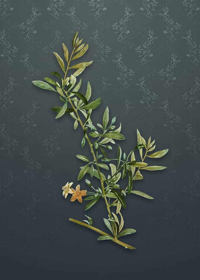 Goji Berry on Slate Gray