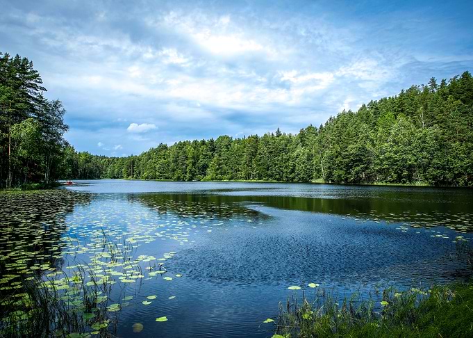 Scenic view of lake