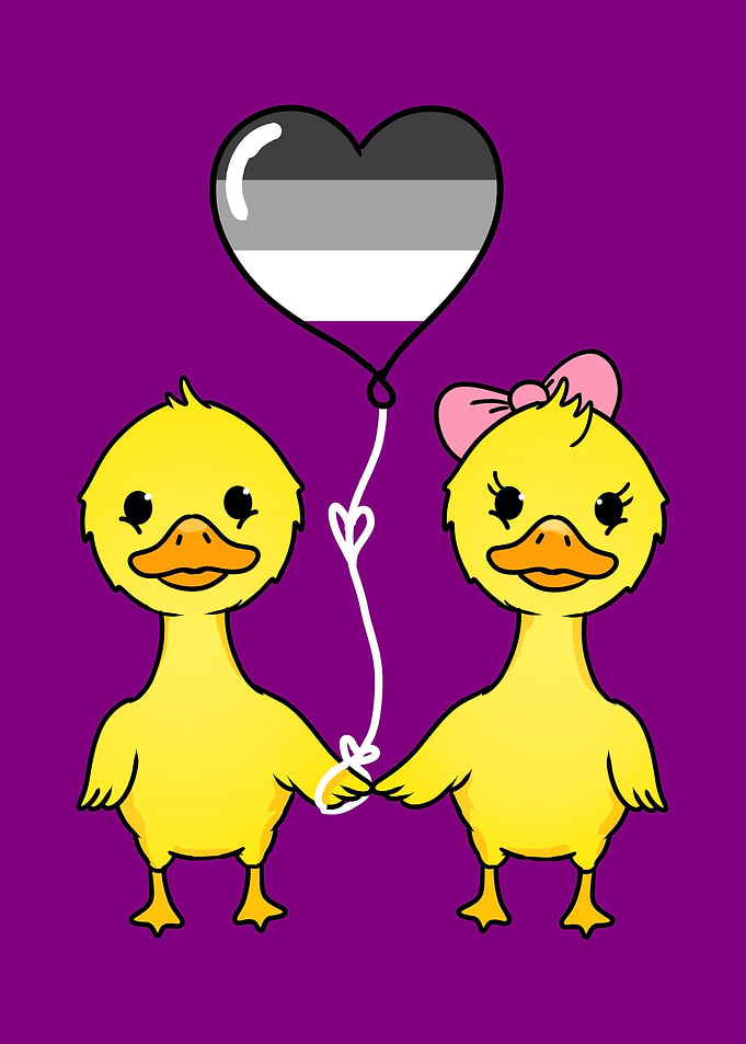 Duck Couple Asexual Pride