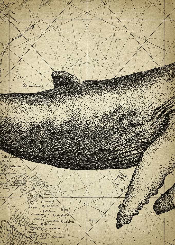 Antique Whale Art Part 2