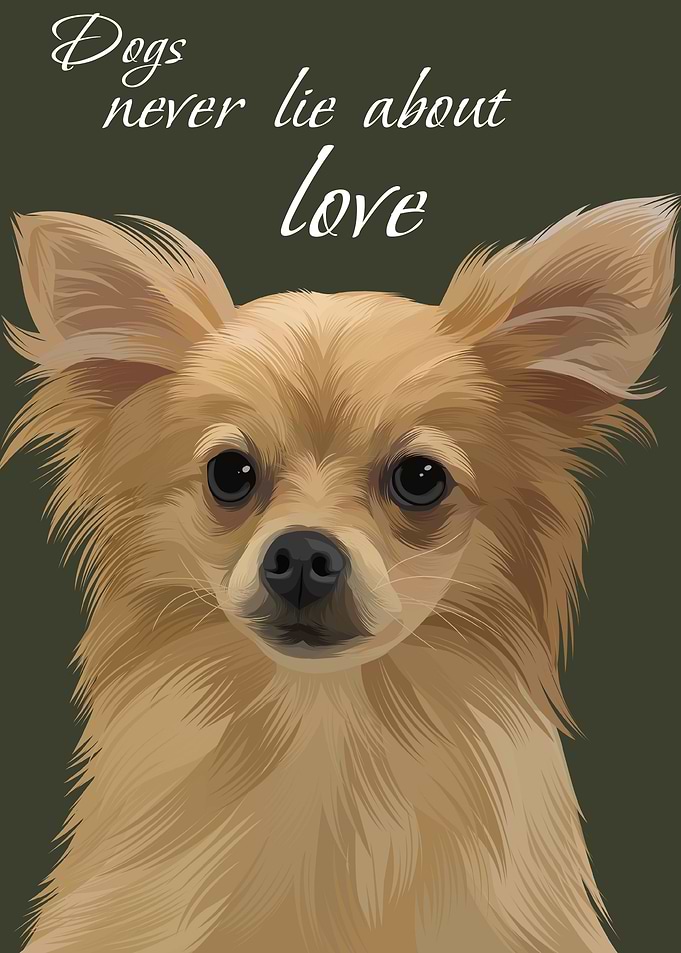 Dog Lover