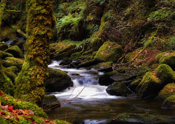 Mountain stream