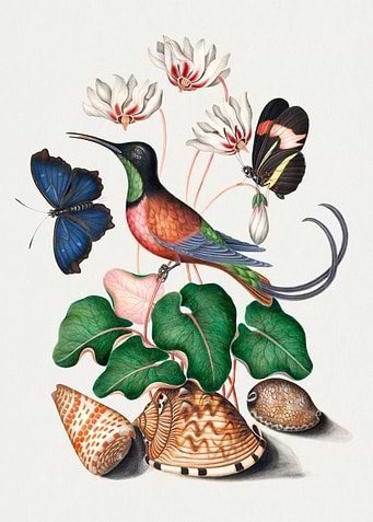 Colorful botanical vintage