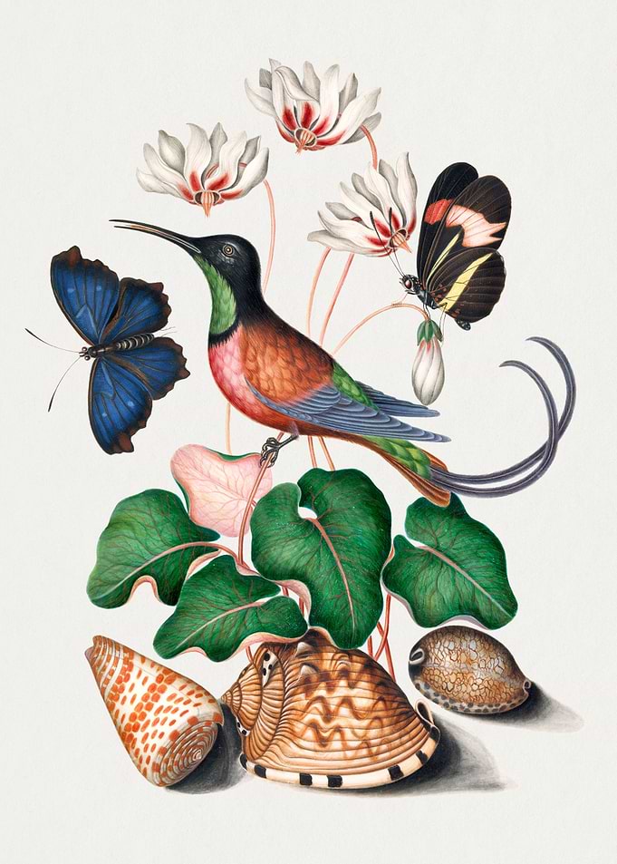 Colorful botanical vintage