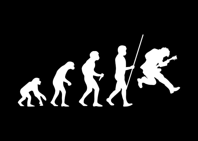 Guitarist Evolution