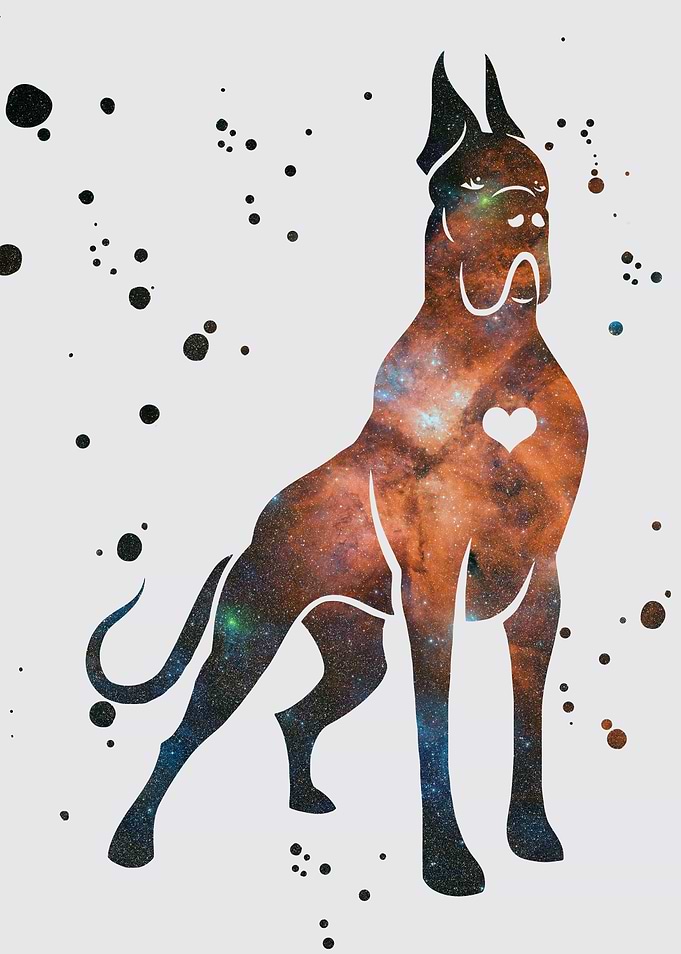 Great Dane