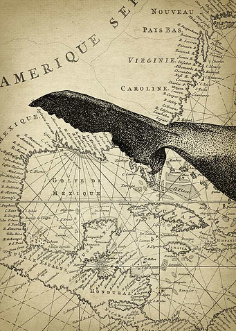 Antique Whale Art Part 3