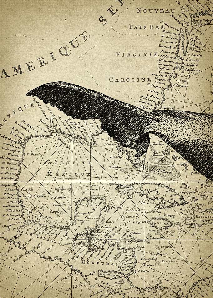 Antique Whale Art Part 3