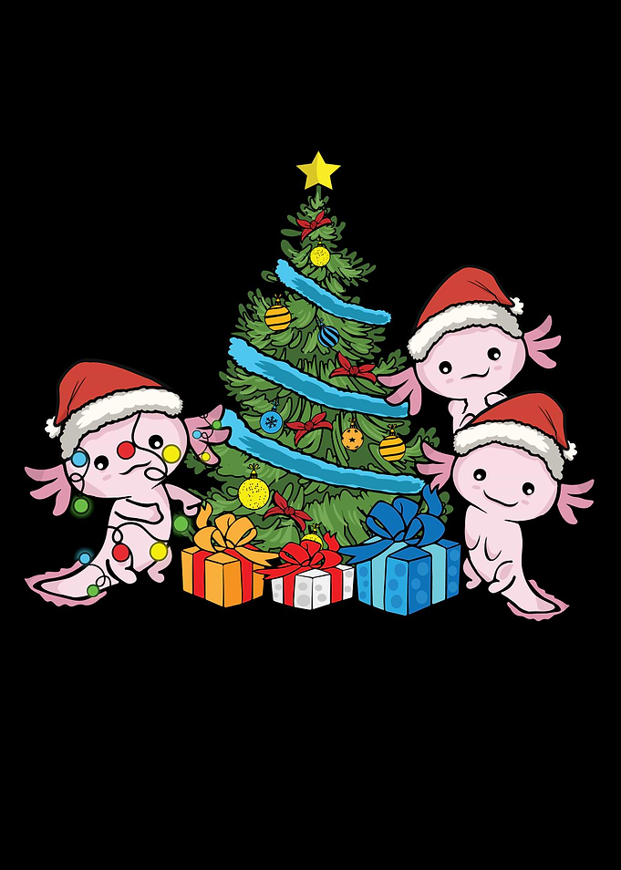 Axolotl Gift Kid Christmas
