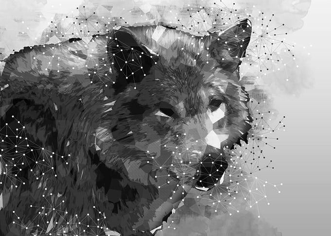 Lone Wolf