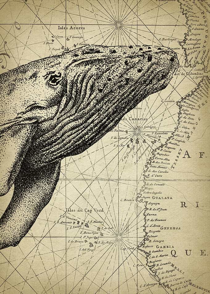 Antique Whale Art Part 1