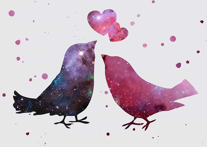 Love birds